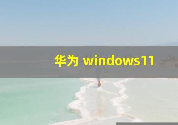 华为 windows11